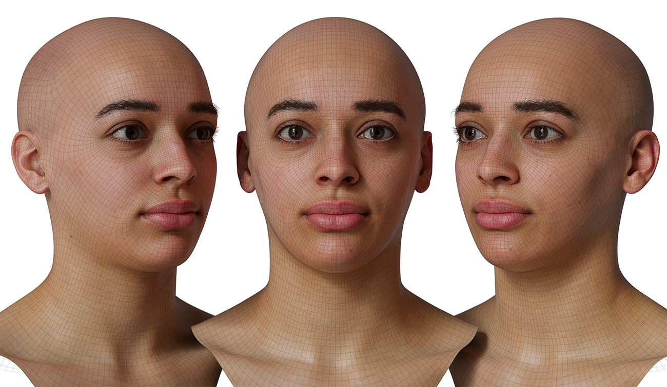 head model wireframe mesh